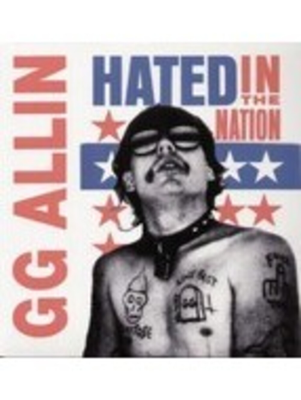 GG ALLIN - HATED IN THE NATION LP VINYL RECORD punk rock antiseen murder junkies